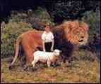 lion, child and lamb